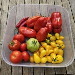 10 Tipps für Erfolge im Garten