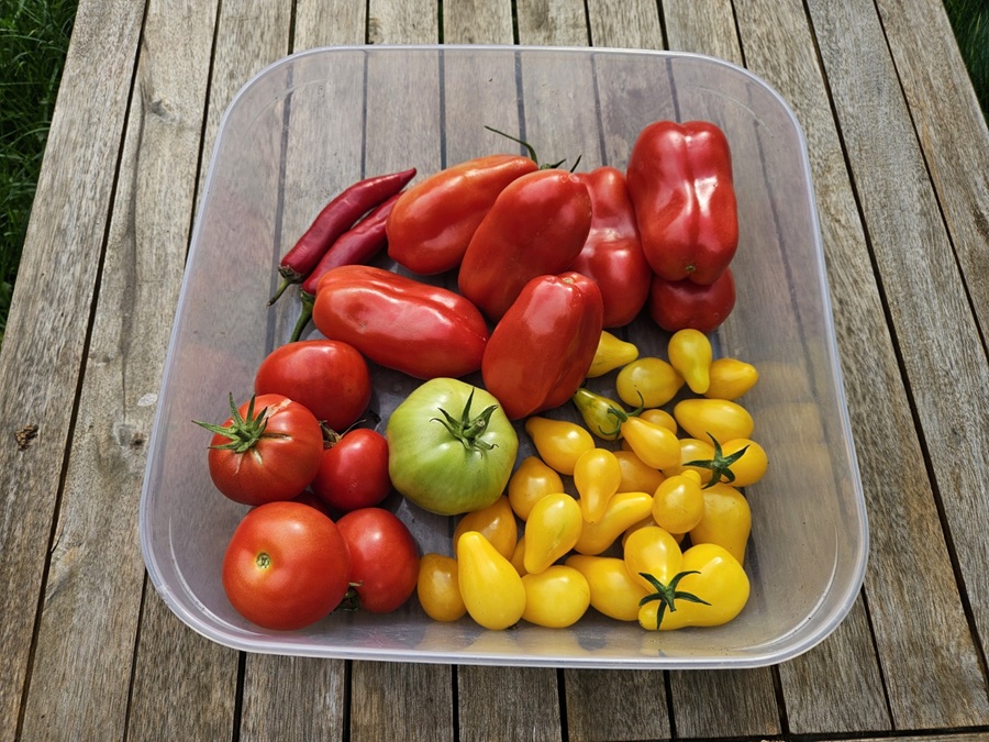 10 Tipps für Erfolge im Garten