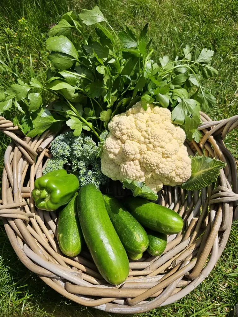 Garten Ideen- Urban Gardening und Gemüseanbau