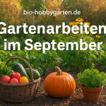 Gartenarbeiten im September – Ernte & Pflanzzeit