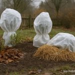 Winterschutz für Pflanzen – so geht’s richtig