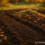 Der Gartenboden im Herbst- Vorbereitung für das nächste Jahr