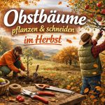 Obstbäume pflanzen und schneiden im Herbst
