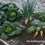 Wintergemüse ernten: Welche Sorten bleiben im Beet?