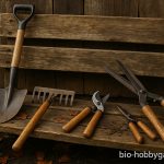 Gartenwerkzeug im Herbst richtig reinigen und einwintern