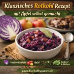 Rotkohl Rezept- Klassischer Rotkohl mit Apfel selbst gemacht