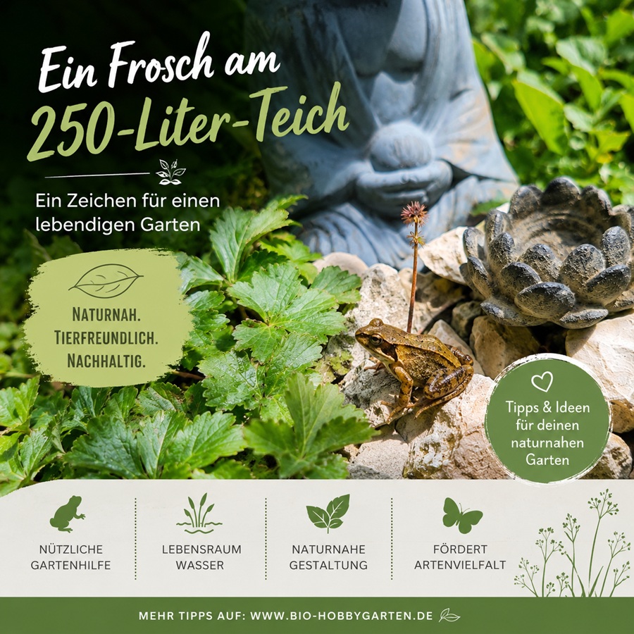 Frosch am 250 Liter Teich im naturnahen Garten